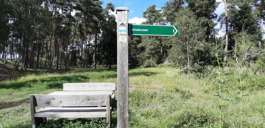 Einsamer Wegweiser
